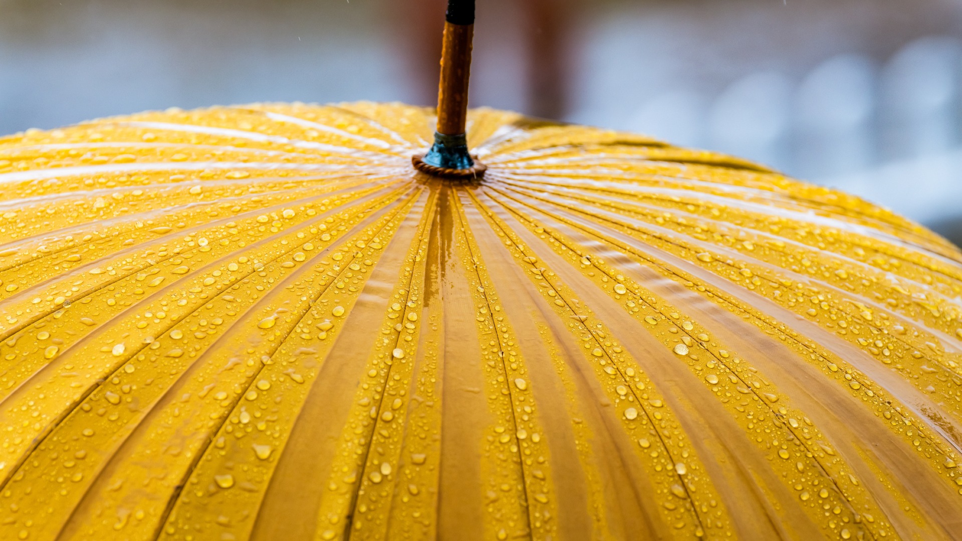 Building Psychological Safety at Work