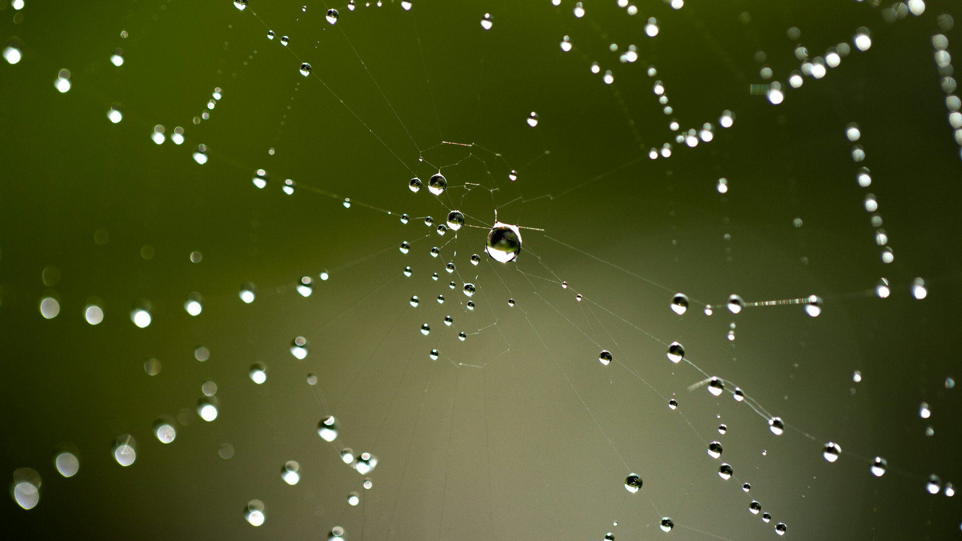 Stakeholder Management